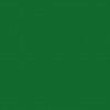 RAL-6029